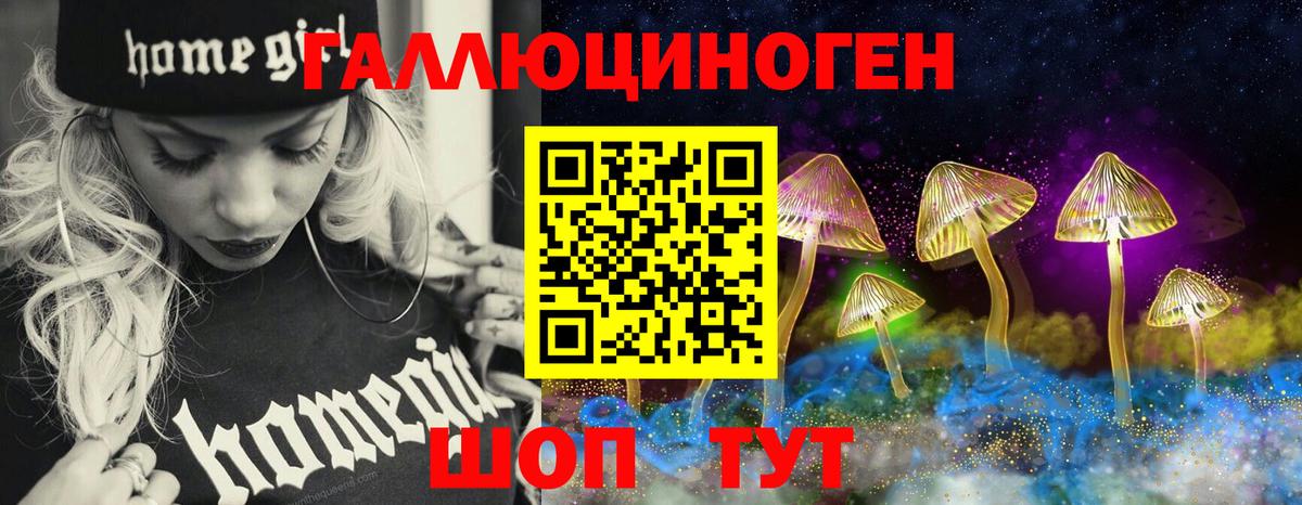 Георгиевск  Псилоцибиновые грибы мухоморы  Вход с VPN 