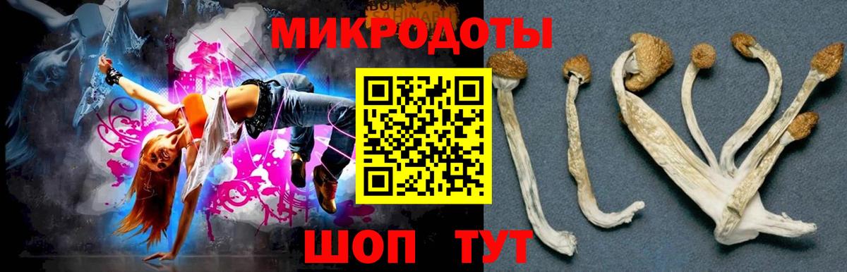 Галлюциногенные грибы Psilocybine cubensis Георгиевск